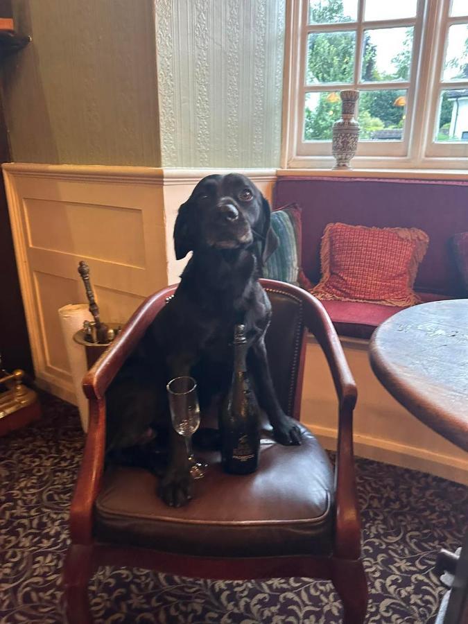 The Cricketers Inn Martyr Worthy Extérieur photo